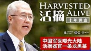 thumbnail-活摘10年调查