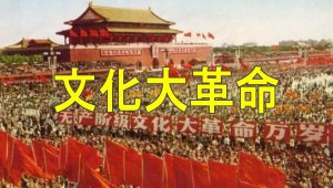 大陆禁片《文化大革命纪实录像》